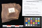 Foto (Objekt + Etikett) von Quercus palaeoilex Ettingshausen (NHMW-GEO-2024-0188-0817)